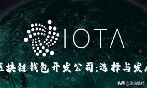 南宁区块链钱包开发公司:选择与发展之路