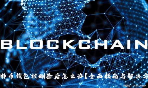 比特币钱包被删除后怎么办?全面指南与解决方案