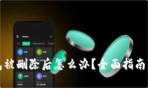 比特币钱包被删除后怎么办?全面指南与解决方案