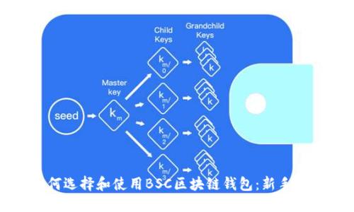 如何选择和使用BSC区块链钱包:新手指南