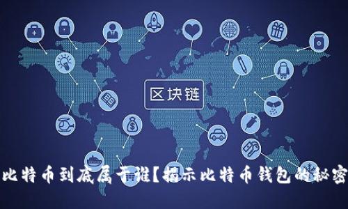 比特币到底属于谁?揭示比特币钱包的秘密
