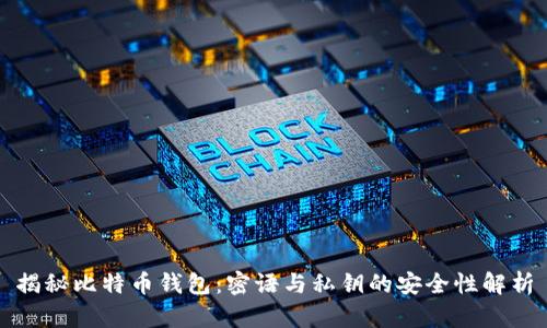 揭秘比特币钱包:密语与私钥的安全性解析