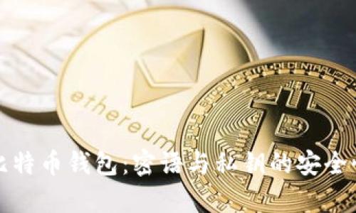 揭秘比特币钱包:密语与私钥的安全性解析