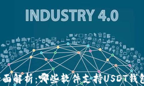全面解析:哪些软件支持USDT钱包?