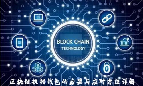 区块链提错钱包的后果与应对方法详解