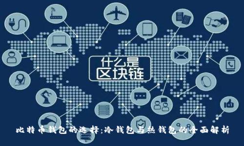 比特币钱包的选择:冷钱包与热钱包的全面解析