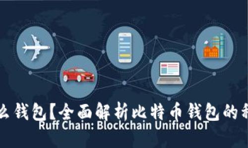 比特币选择什么钱包?全面解析比特币钱包的种类与选购指南