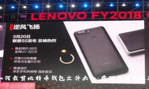 如何裁剪比特币钱包文件大小:存储与提高效率