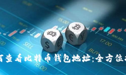 如何查看比特币钱包地址:全方位指南