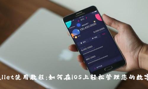 TPWallet使用教程:如何在iOS上轻松管理您的数字资产