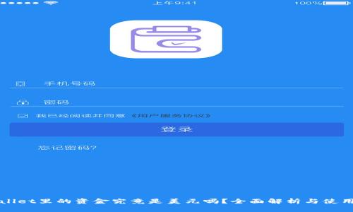 TPWallet里的资金究竟是美元吗?全面解析与使用指南