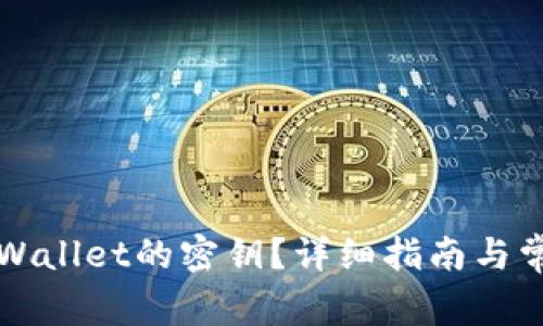 如何找到TPWallet的密钥?详细指南与常见问题解答