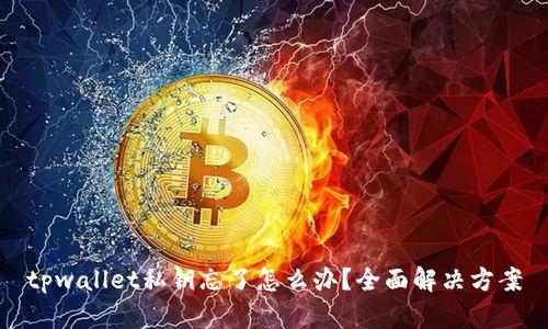 tpwallet私钥忘了怎么办?全面解决方案