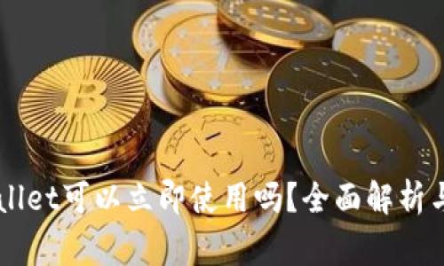 新创建的TPWallet可以立即使用吗?全面解析与常见问题解答