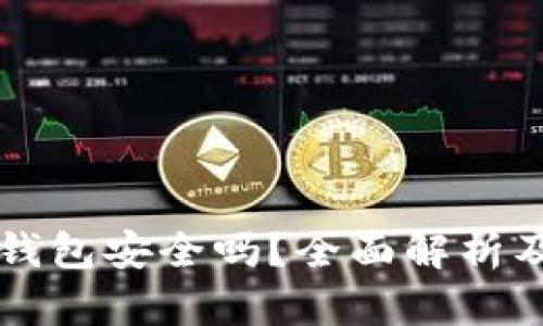 比特币轻钱包安全吗?全面解析及使用指南