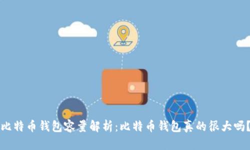 比特币钱包容量解析:比特币钱包真的很大吗?