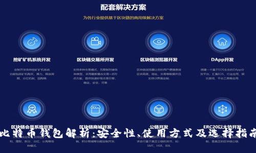 比特币钱包解析:安全性、使用方式及选择指南