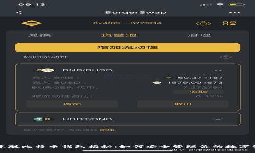 中本聪比特币钱包揭秘:如何安全管理你的数字资产