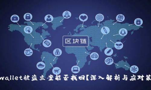 tpwallet被盗立案能否找回?深入解析与应对策略
