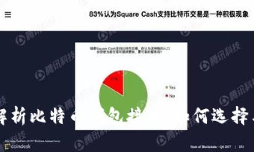 全面解析比特币钱包接口:如何选择与使用