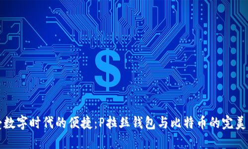 享受数字时代的便捷:P拉丝钱包与比特币的完美结合