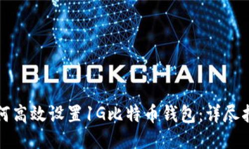 如何高效设置1G比特币钱包:详尽指南