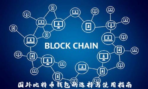 国外比特币钱包的选择与使用指南