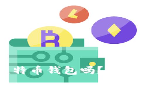 网盘可以存比特币钱包吗?安全性及使用指南