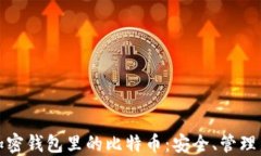 深入了解加密钱包里的比特币：安全、管理与投