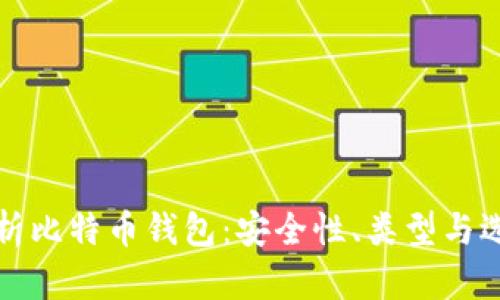 全面解析比特币钱包:安全性、类型与选择指南