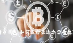 新加坡元与比特币钱包：如何选择最适合你的数