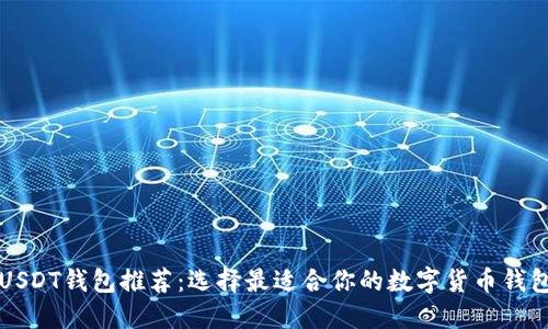 USDT钱包推荐:选择最适合你的数字货币钱包
