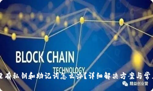 TPWallet没有私钥和助记词怎么办?详细解决方案与常见问题解答