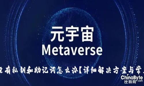 TPWallet没有私钥和助记词怎么办?详细解决方案与常见问题解答