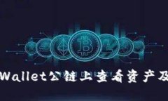 如何在TPWallet公链上查看资产及交易信息