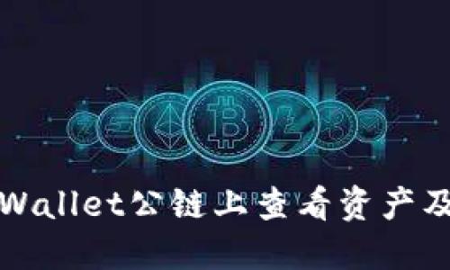 如何在TPWallet公链上查看资产及交易信息