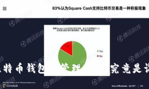 比特币钱包的管理:背后究竟是谁?