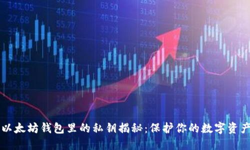 以太坊钱包里的私钥揭秘:保护你的数字资产