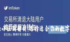 区块链钱包大小区别解析：选择适合你的数字资