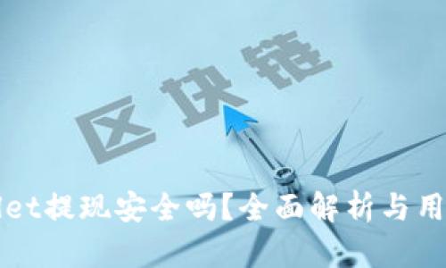 TPWallet提现安全吗?全面解析与用户指南