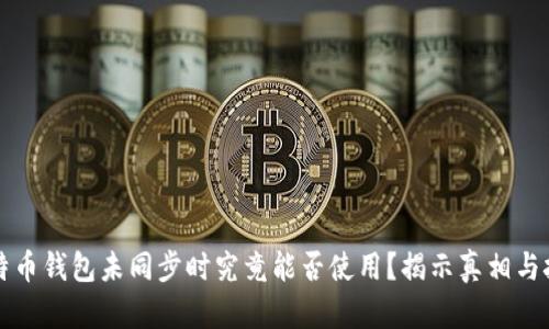 比特币钱包未同步时究竟能否使用?揭示真相与技巧
