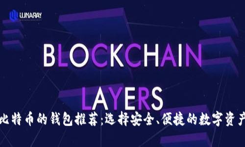 适合存储比特币的钱包推荐:选择安全、便捷的数字资产投资方式