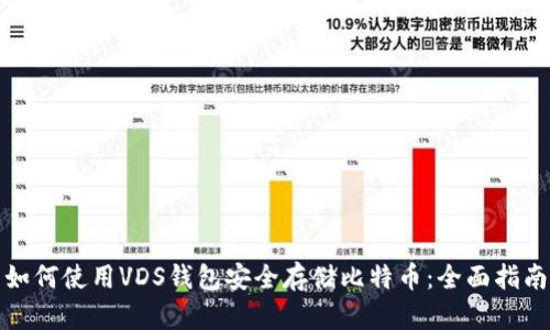 如何使用VDS钱包安全存储比特币:全面指南