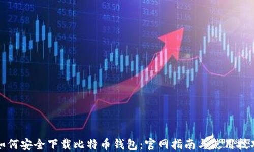 如何安全下载比特币钱包:官网指南与使用技巧