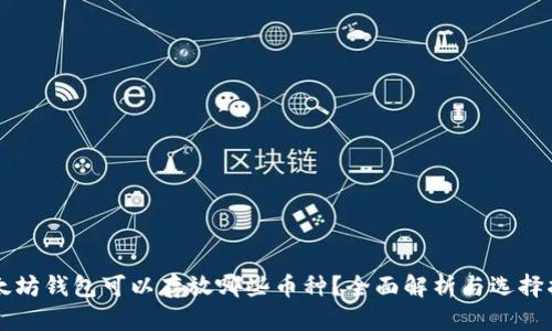 以太坊钱包可以存放哪些币种?全面解析与选择指南