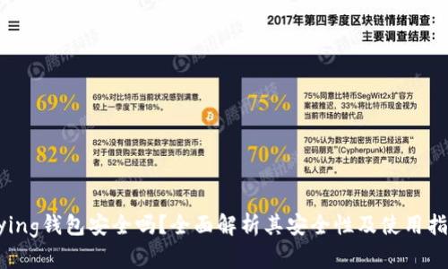 Bying钱包安全吗?全面解析其安全性及使用指南
