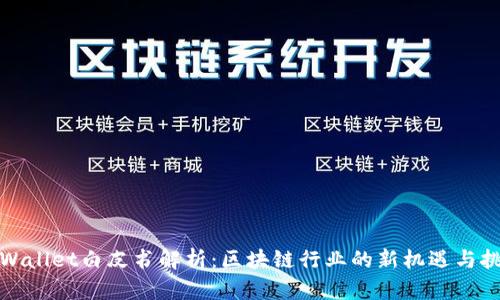 TPWallet白皮书解析:区块链行业的新机遇与挑战