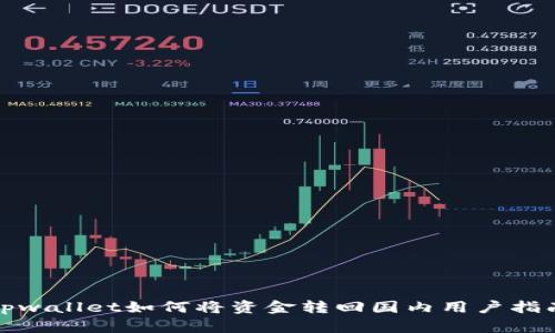 tpwallet如何将资金转回国内用户指南