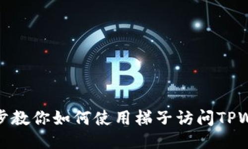 一步步教你如何使用梯子访问TPWallet