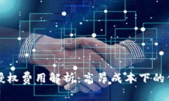 TPWallet授权费用解析：高昂成本下的价值与策略